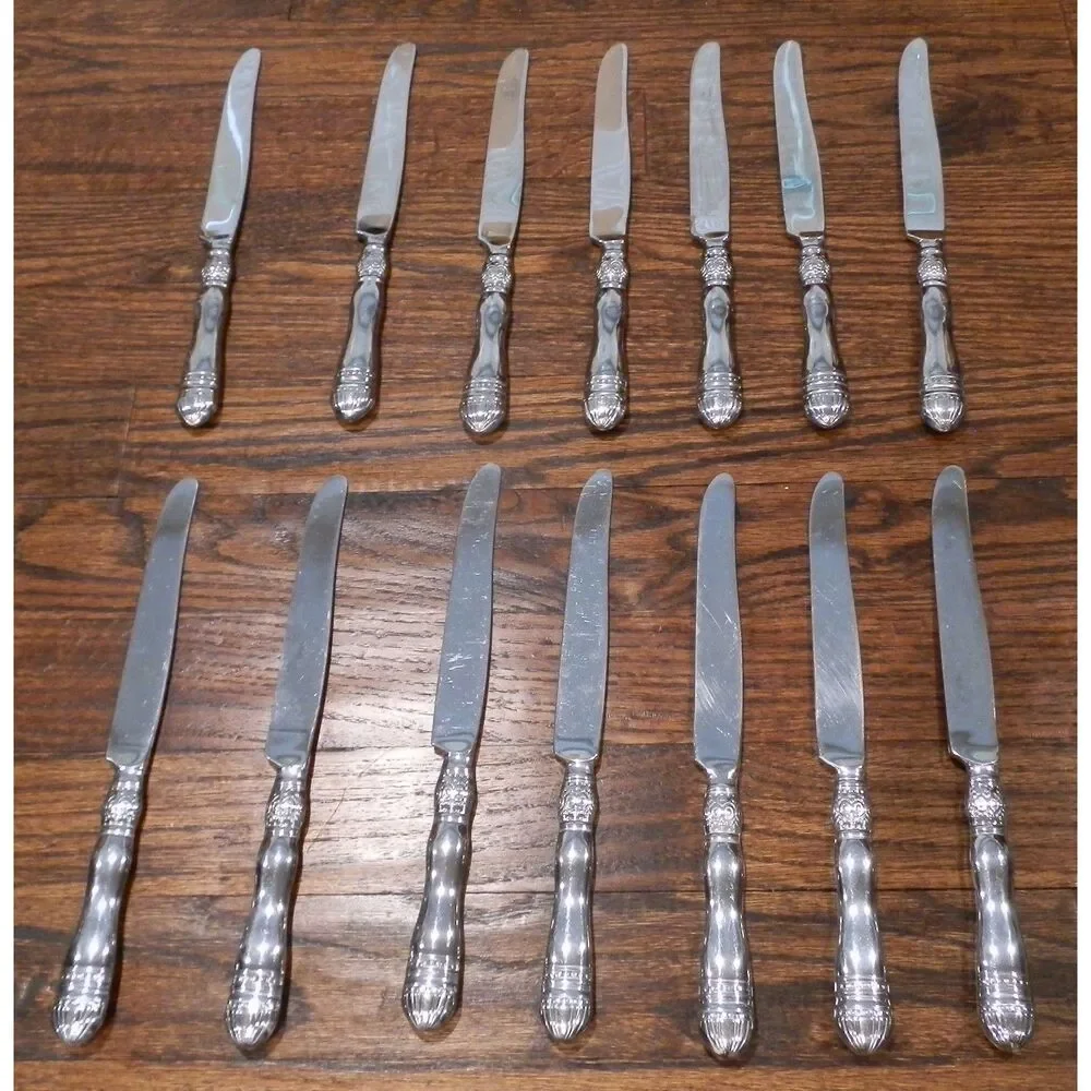 Southern Living Gallery Silverware Flatware 9 1/4